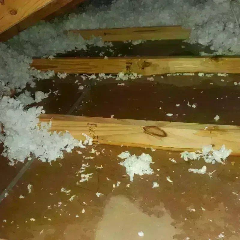 Attic Water Damage in Lewistown, MT